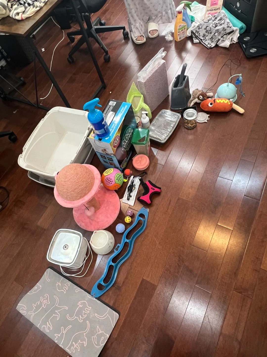 Cat Supplies Bundle image indicator(4)