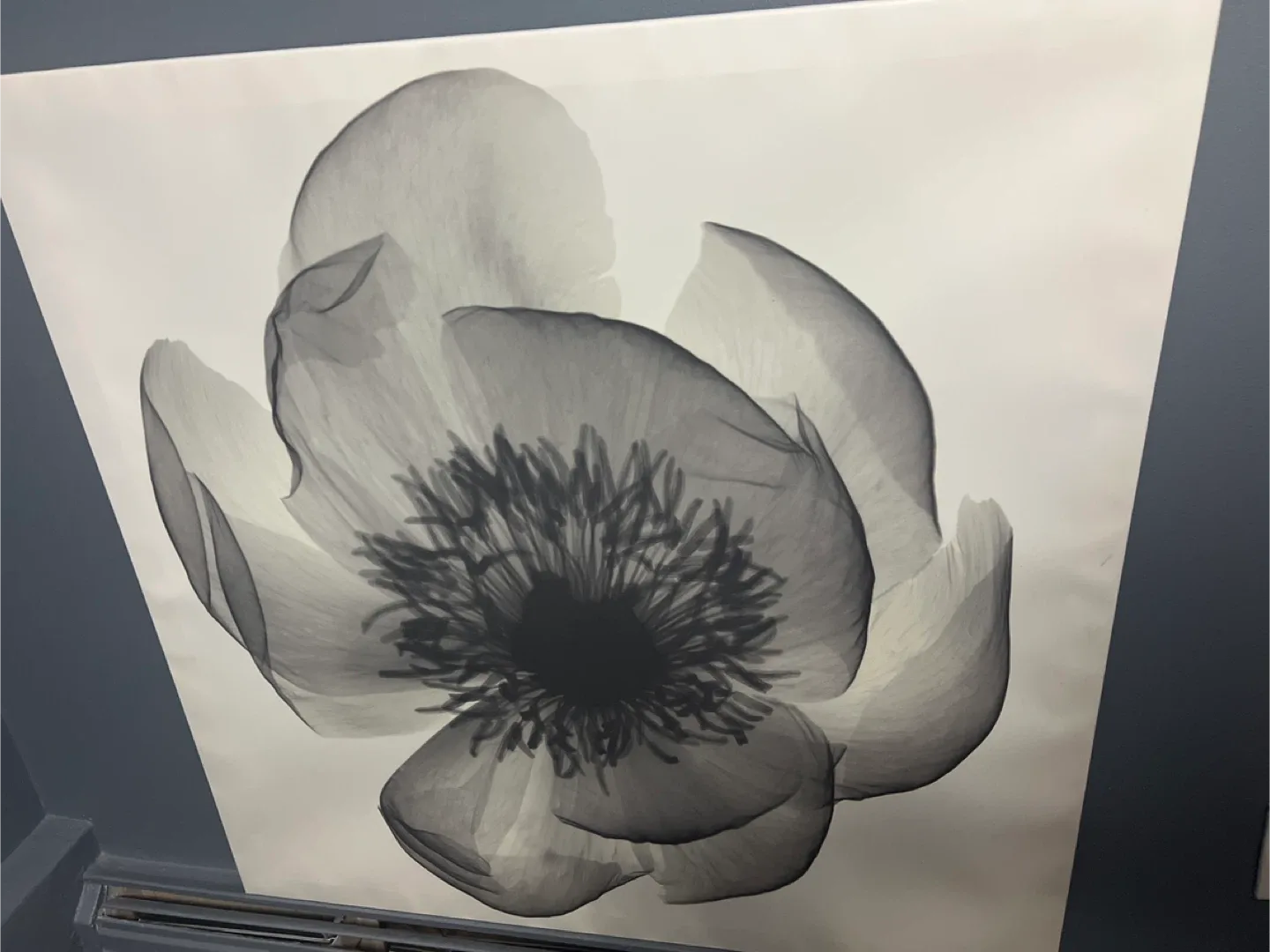 IKEA Flower Wall Art - 35.5" x 35.5" image indicator(2)