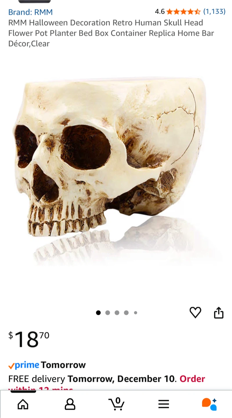 New in box! Skull Head Planter Flower Pot Vase Resin Decor