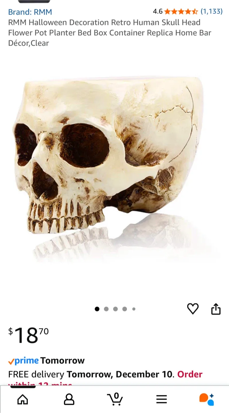 New in box! Skull Head Planter Flower Pot Vase Resin Decor