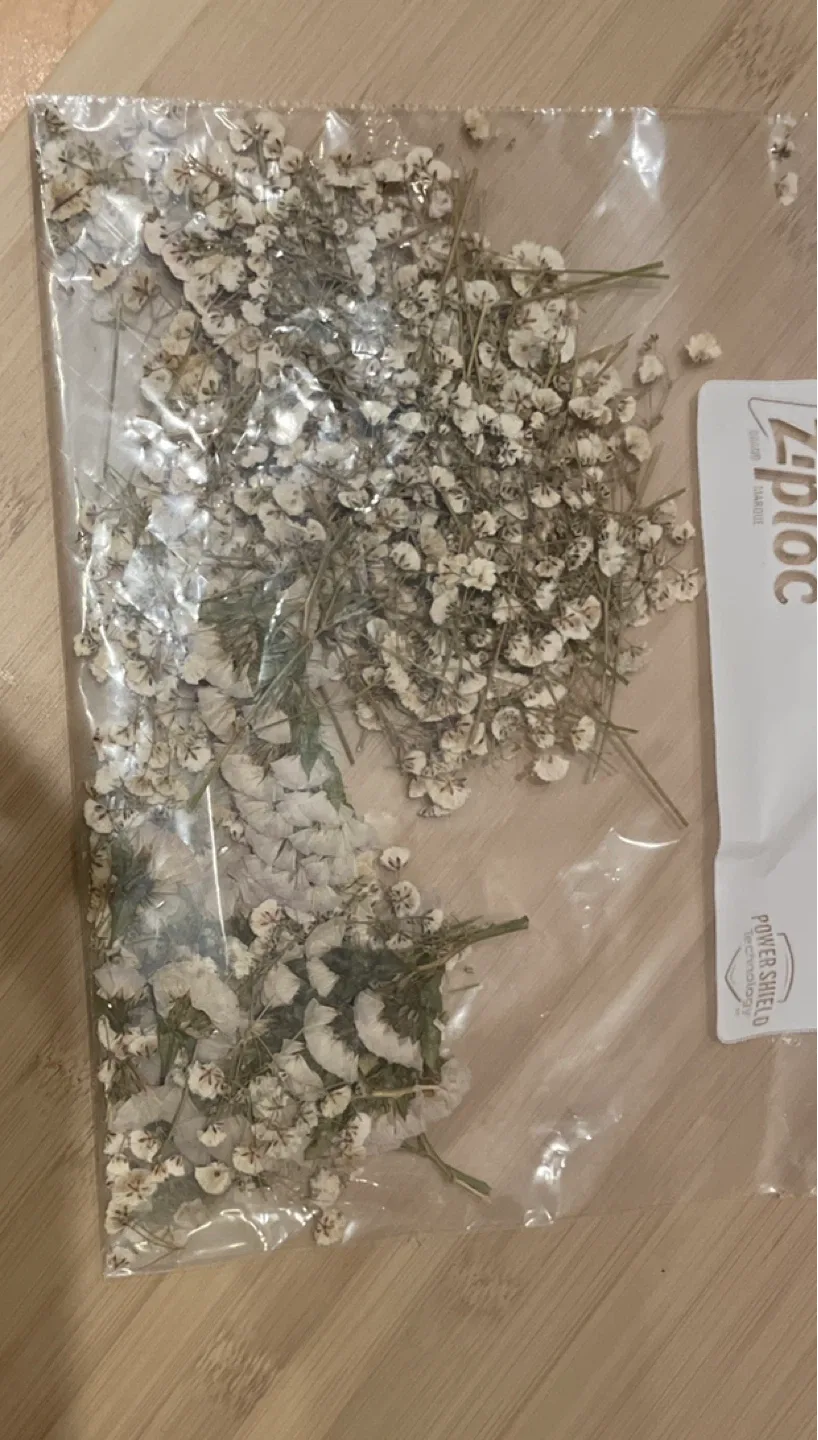 Dried Baby's Breath Flowers