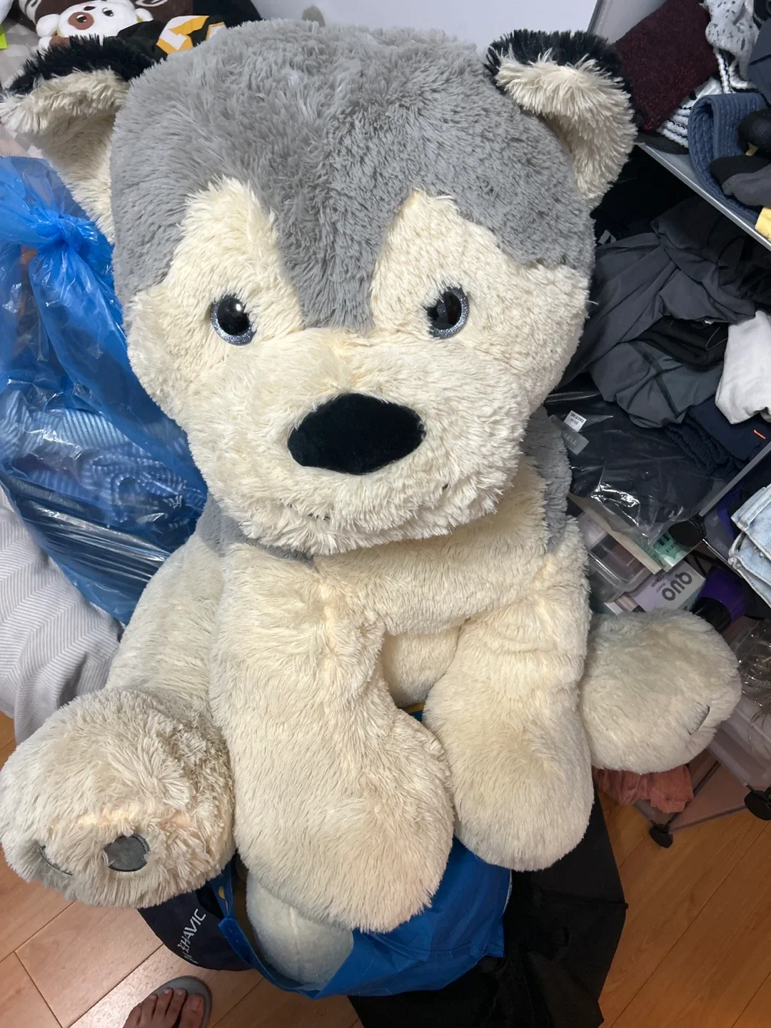 Large Husky Plush Toy