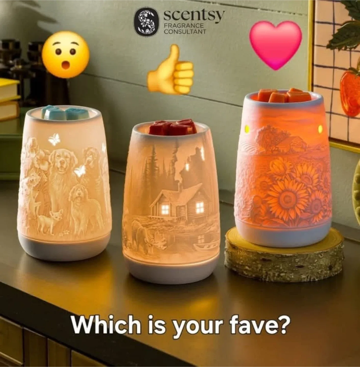 Scentsy Warmers!