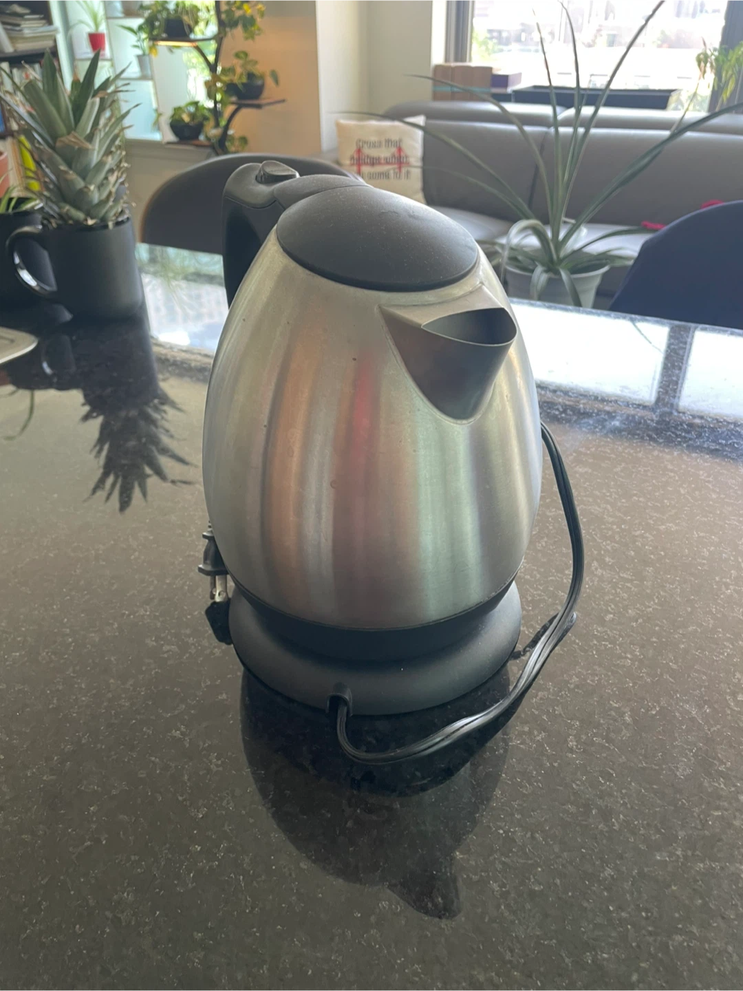 Electric Kettle