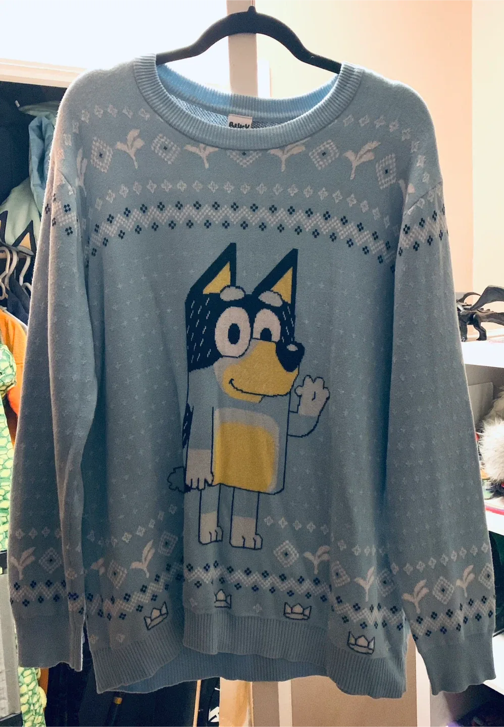 Bluey XL Sweater