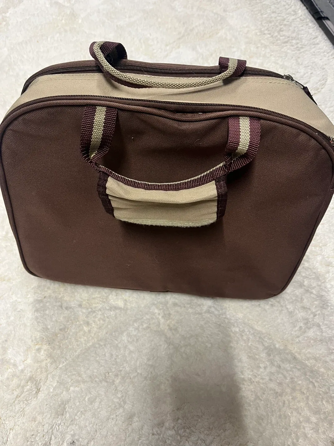 Pic-Nic Brown & Beige Cooler Bag