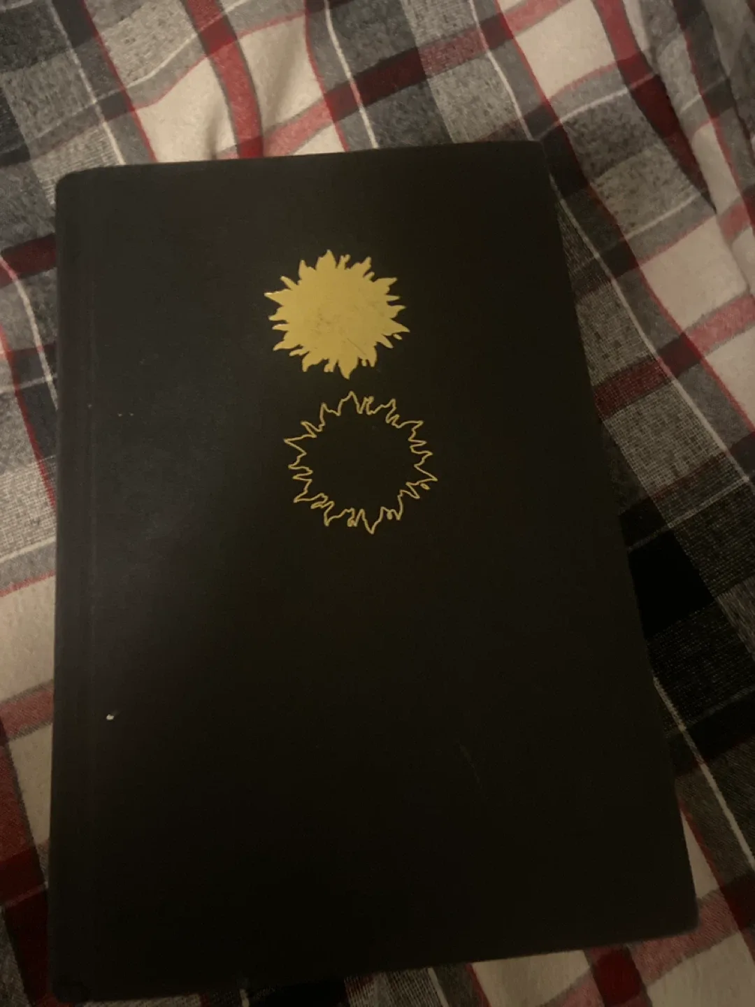 The Sun and the Star by Riordan Oshiro image indicator(3)