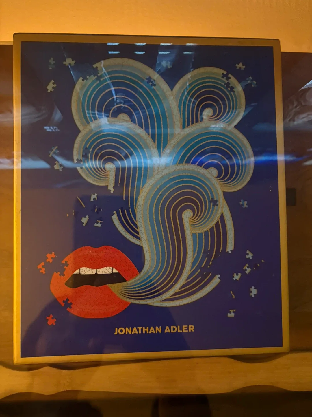 750 pc Jonathan Adler Lips Puzzle