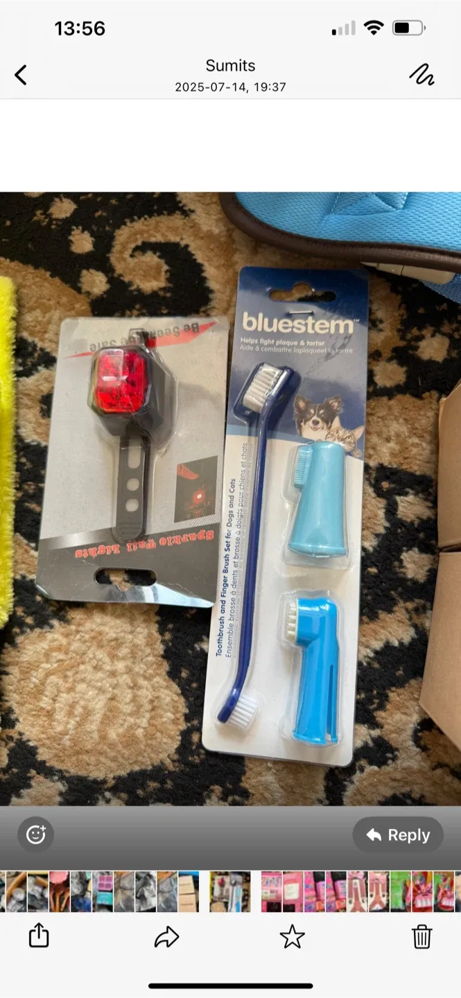 Bluestem Toothbrush & Finger Brush Set for Pets