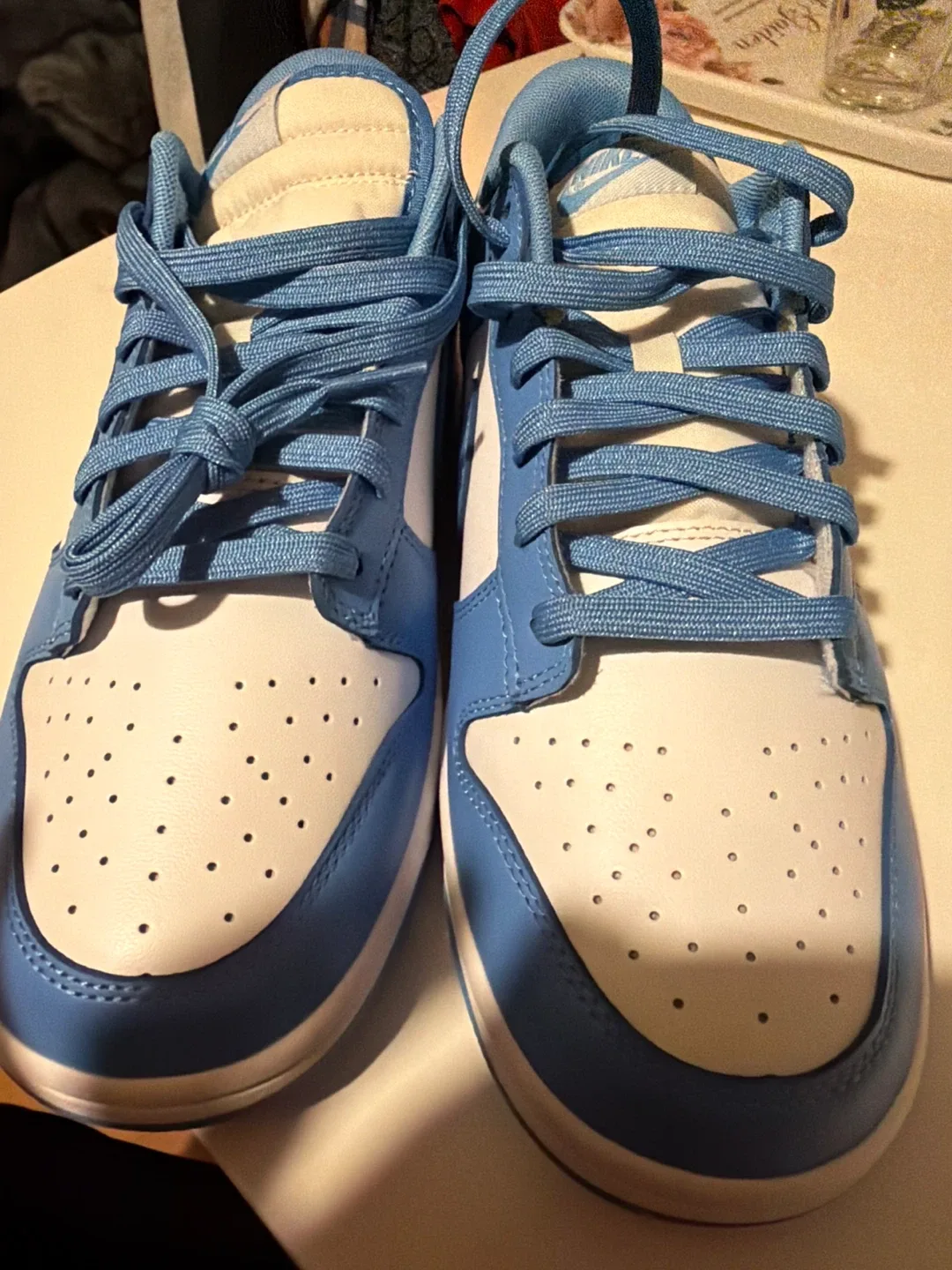 Nike Dunk Low Coast Sneakers