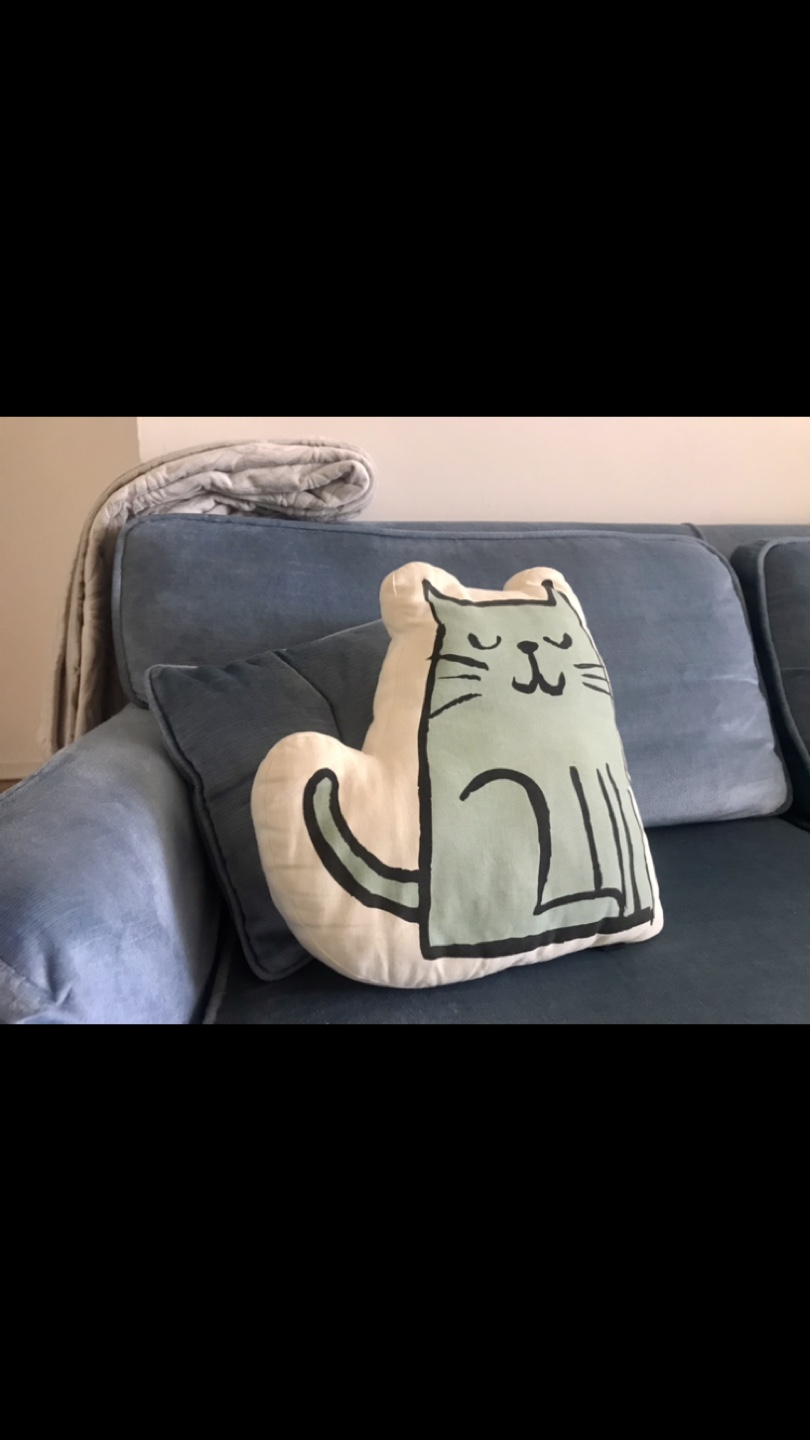 Adorable Cat Design Cushion +✨FREE Cat Earrings
