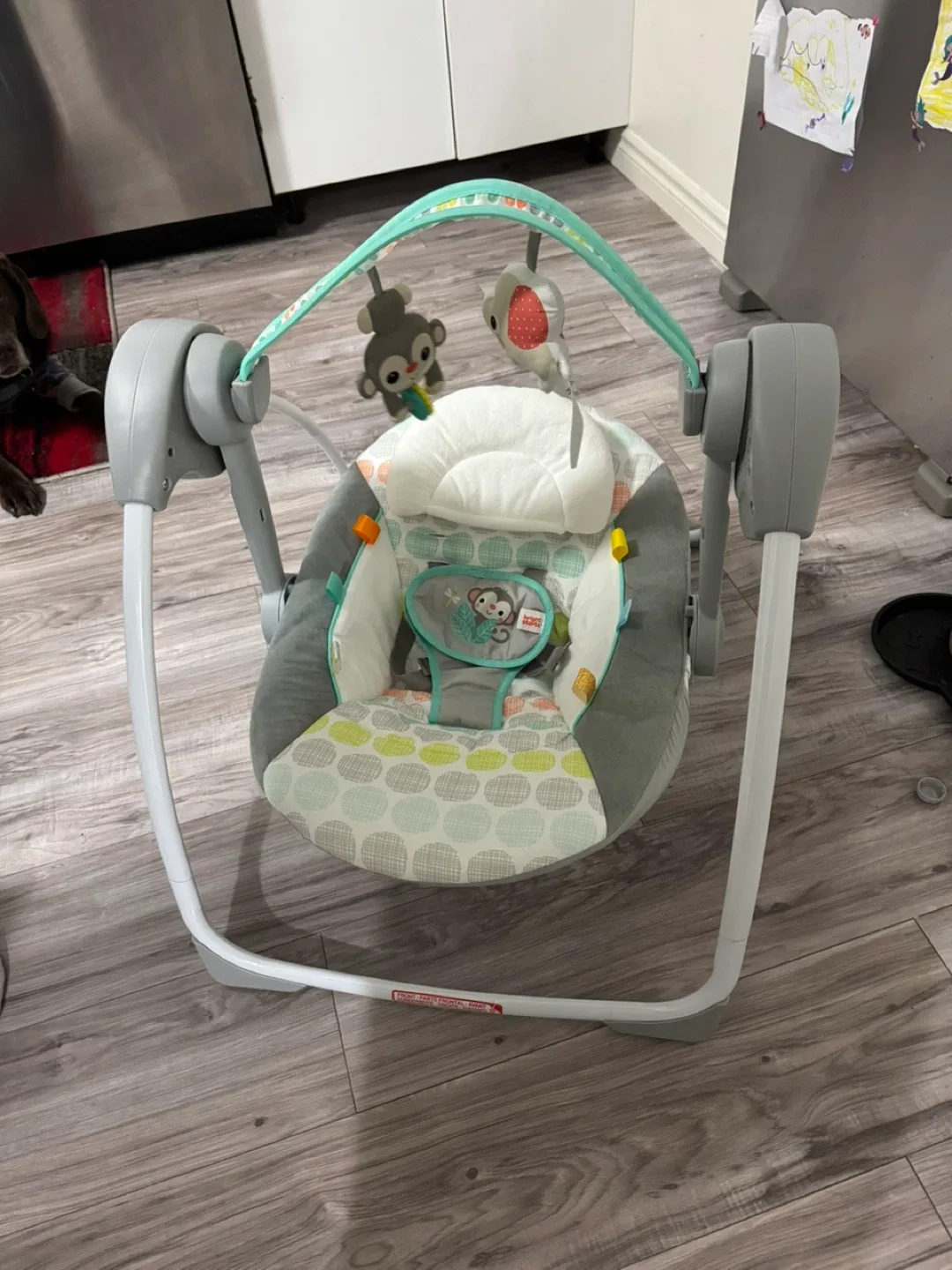 Bright Starts Baby Swing