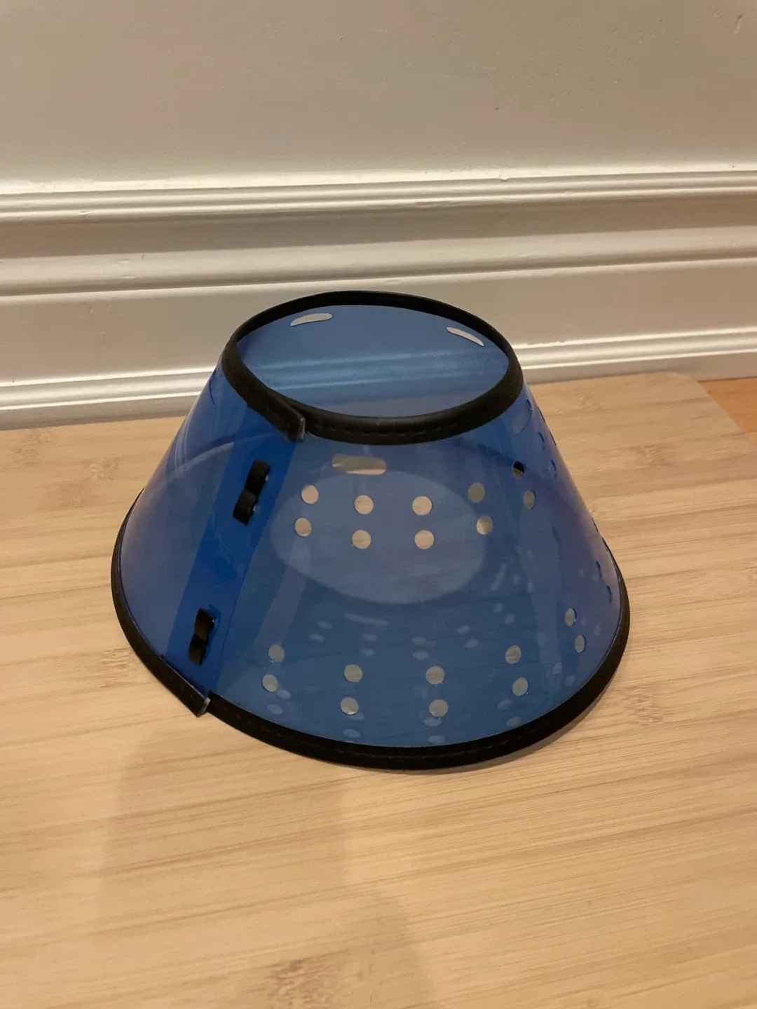 Remedy Recovery E-Collar for Pets