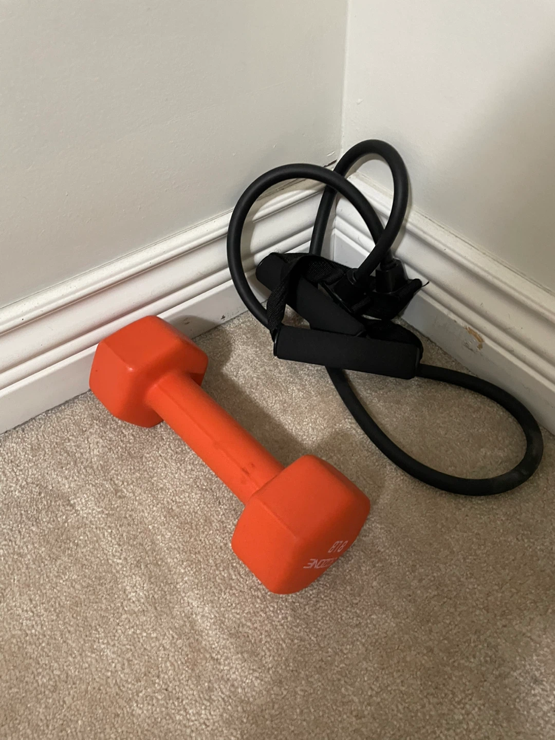 8LB Dumbbell & Resistance Band Set