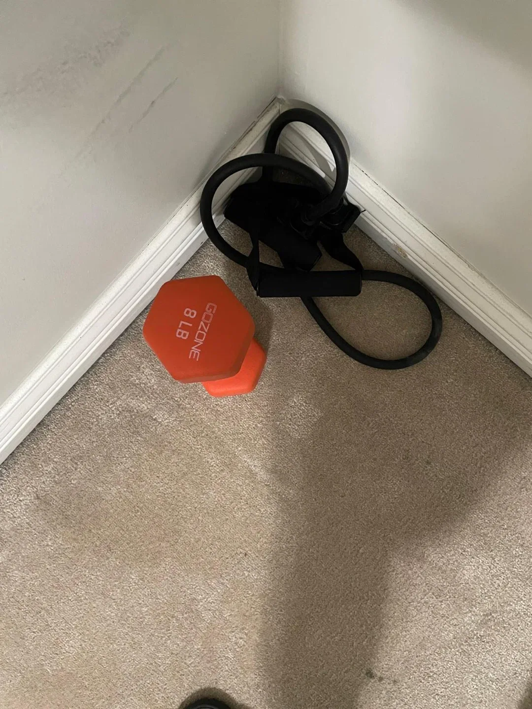 GoZone 8 lb Dumbbell + Resistance Band