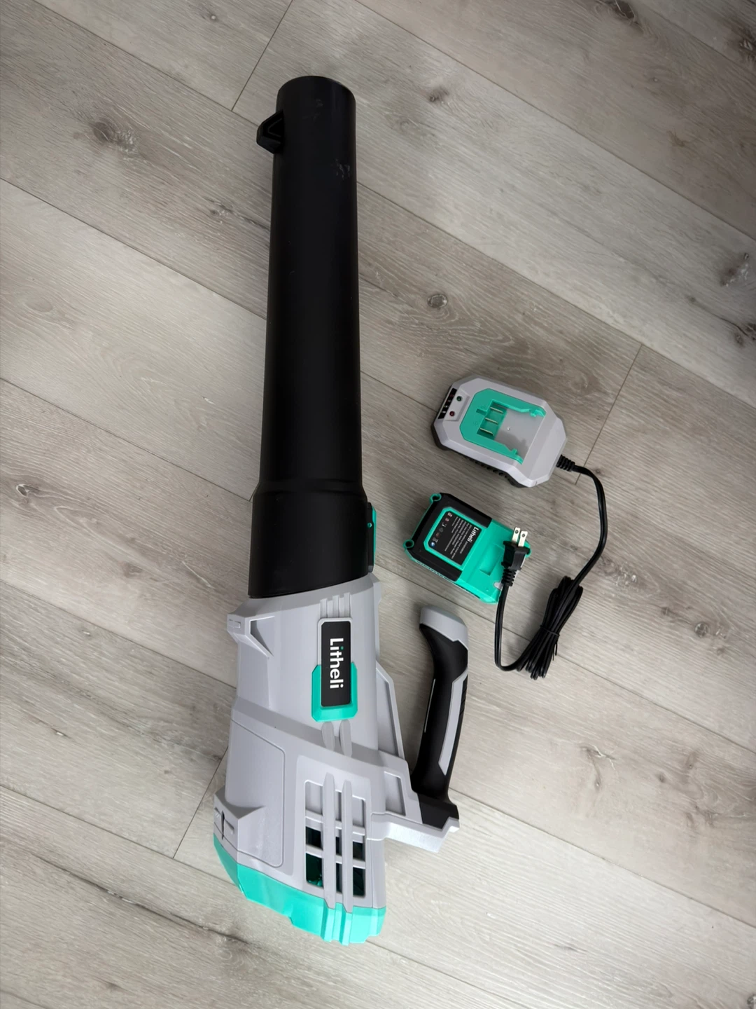 Snow/leaf blower