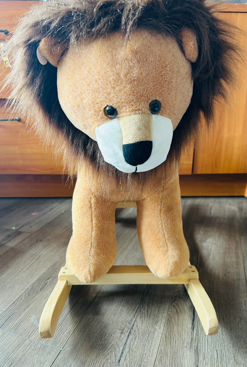 Rocking Lion Ride-on Toy