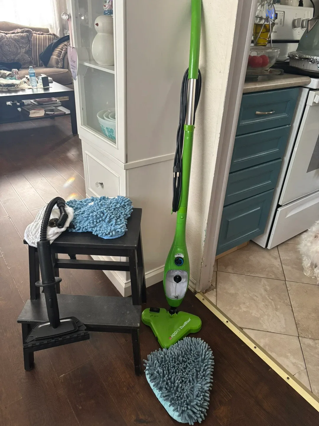 H2O X5 Dual Blast Steam Cleaner