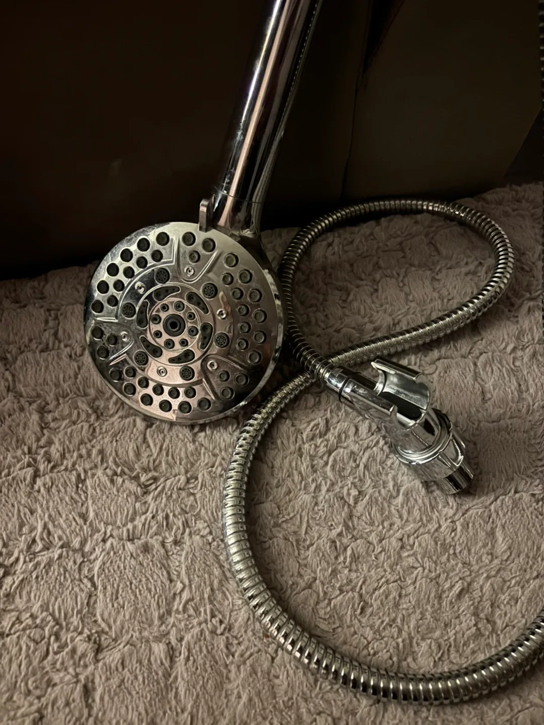 Shower Head with Hose