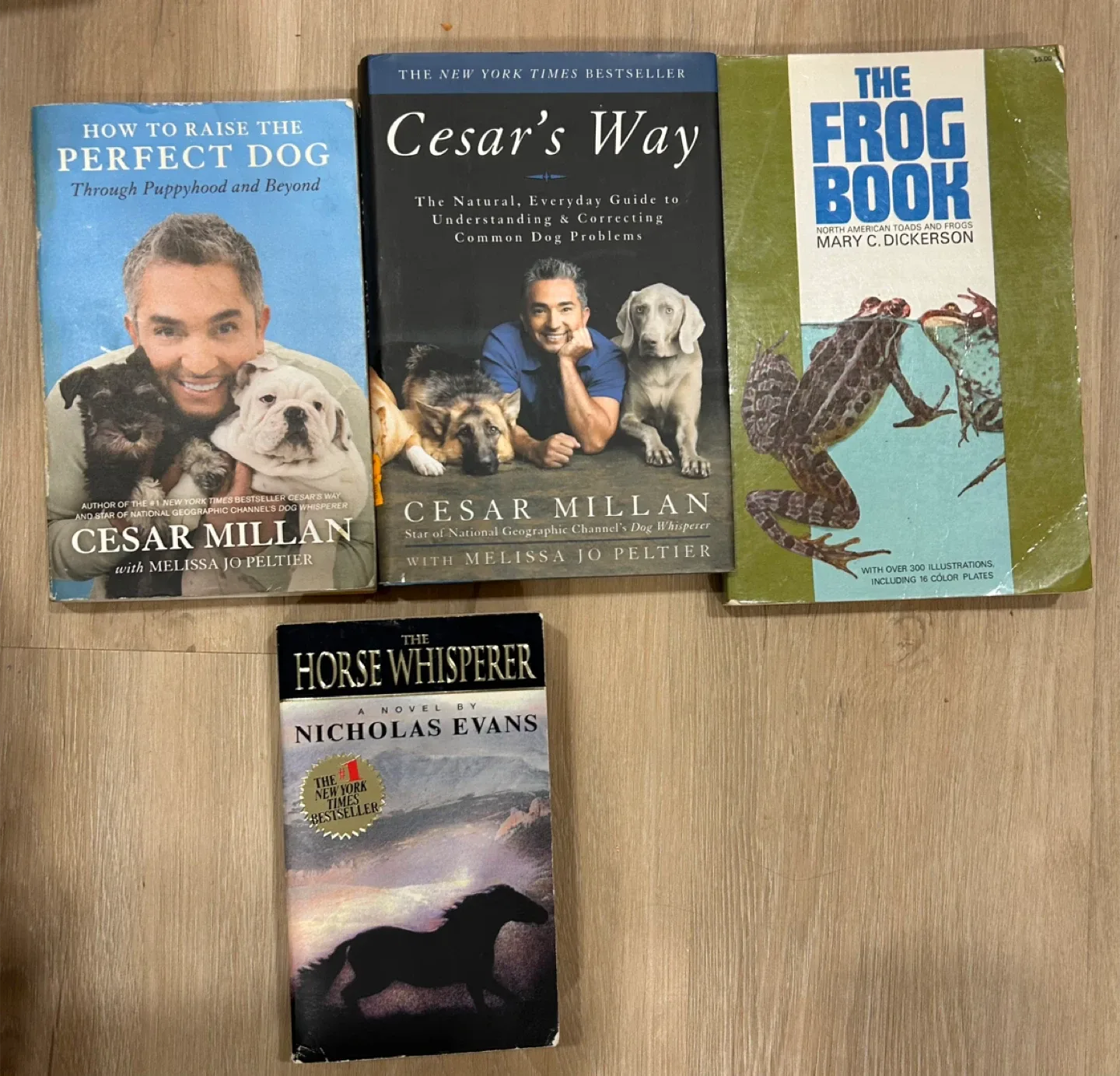 Animal Books- Cesar Milan Training, Horse Novel, Frog Education