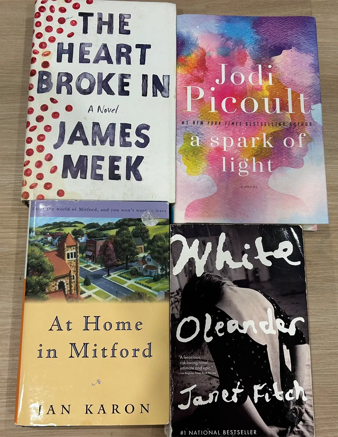 Books- James Meek, Jodi Picoult, Jan Laron, Janet Fitch