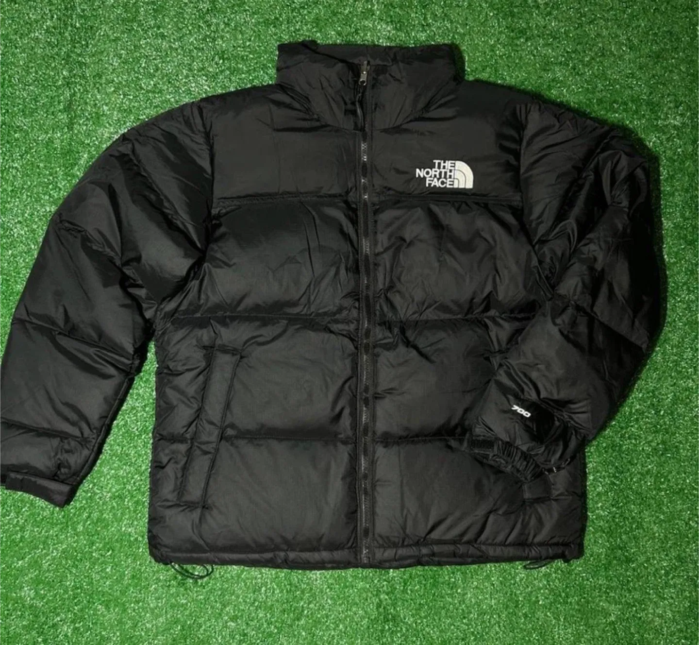 The North Face 700 Black Puffer Jacket