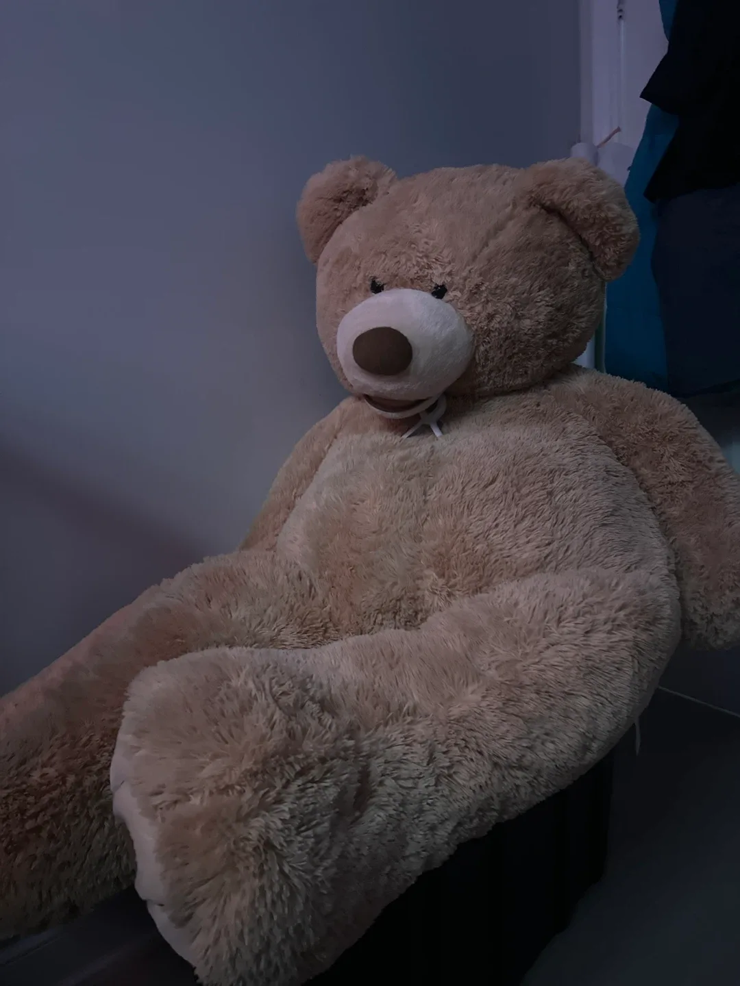Large Teddy Bear for rent!