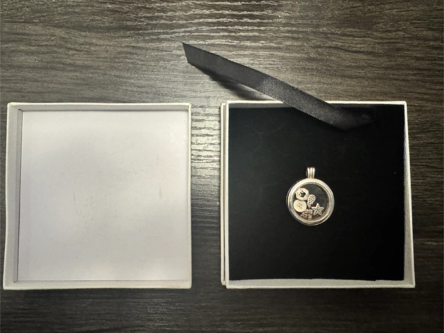 Pandora holiday  Locket Necklace
