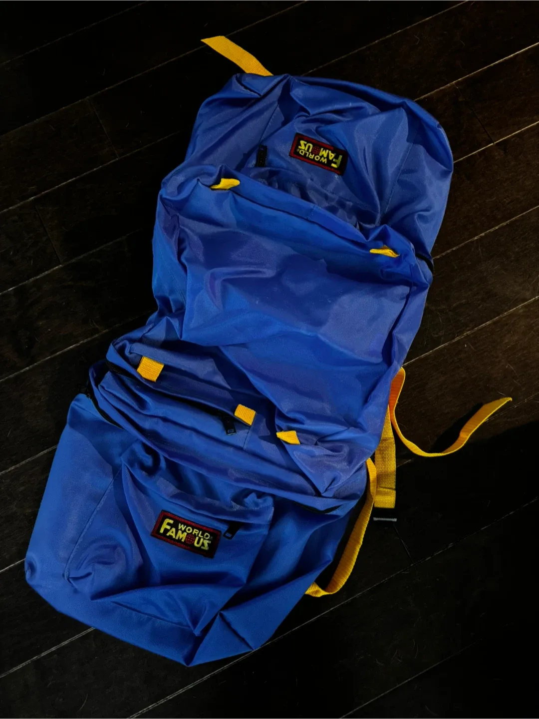 World Famous blue saddlebag for bike #freecycle #cleanout