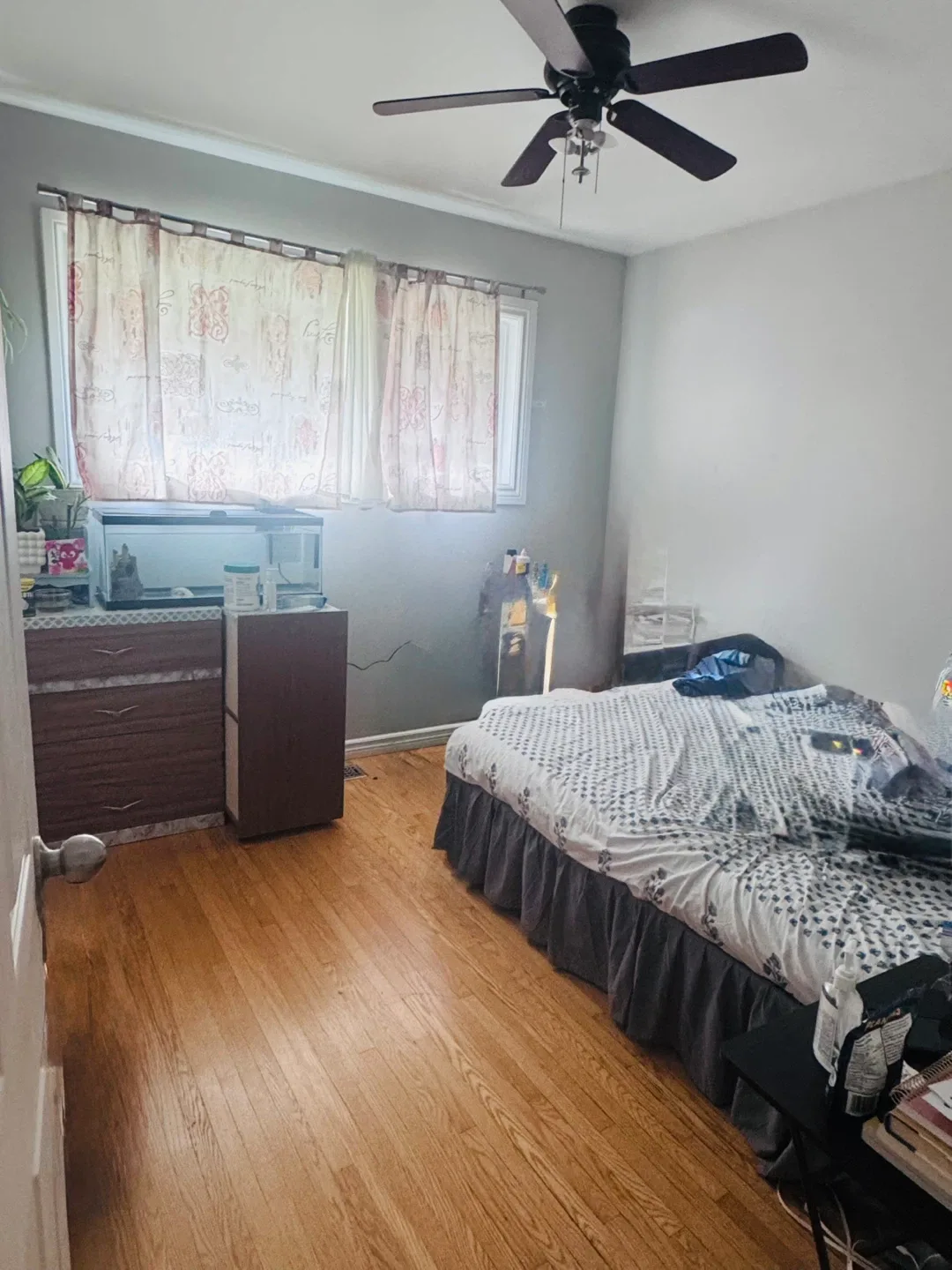 Accommodation available