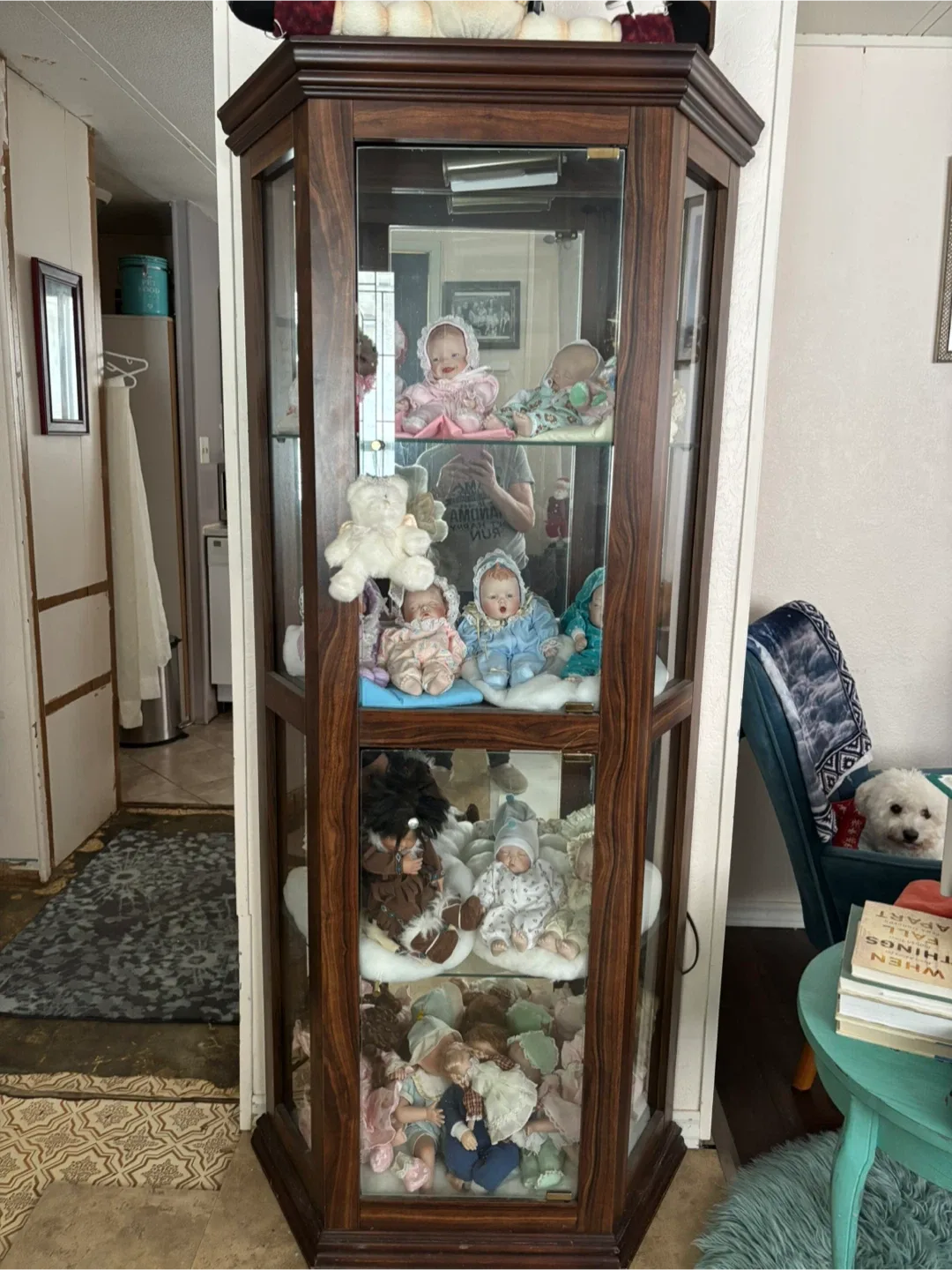Display Cabinet - Perfect for Collectibles! image indicator(2)