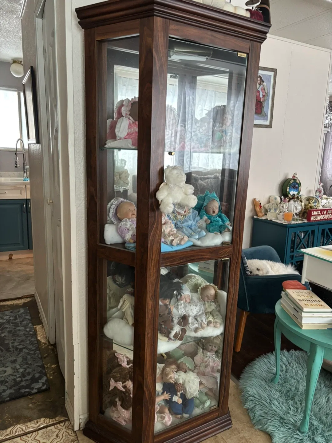 Display Cabinet - Perfect for Collectibles! image indicator(3)