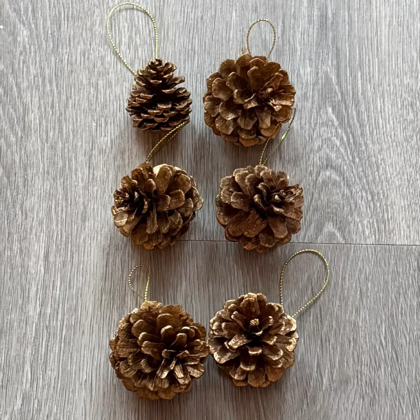 Pinecone Christmas Ornaments (Set of 6)