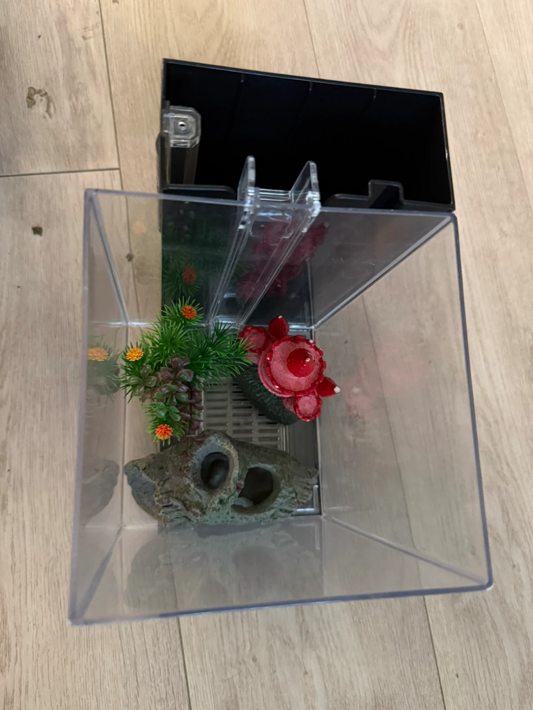 Aqueon Betta Falls Kit - photo 2