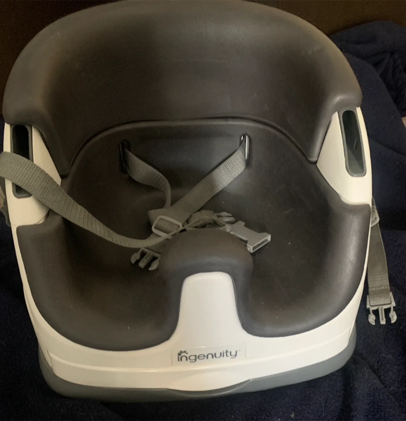 Ingenuity Baby Base 2-in-1 Seat - Great Condition!