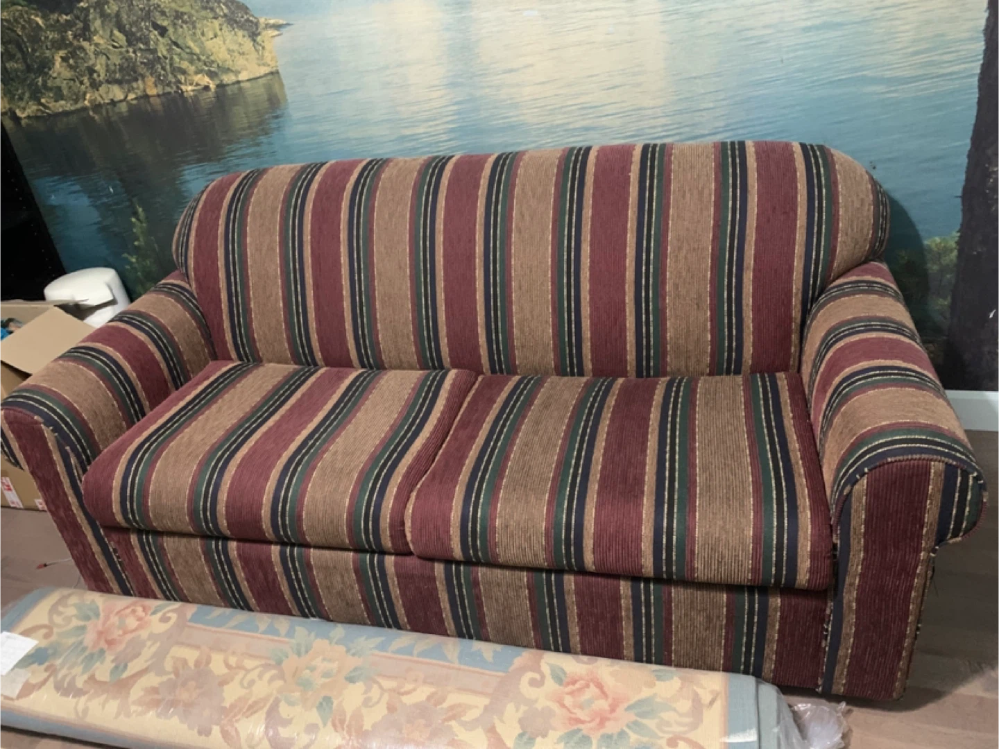 Pull out couch