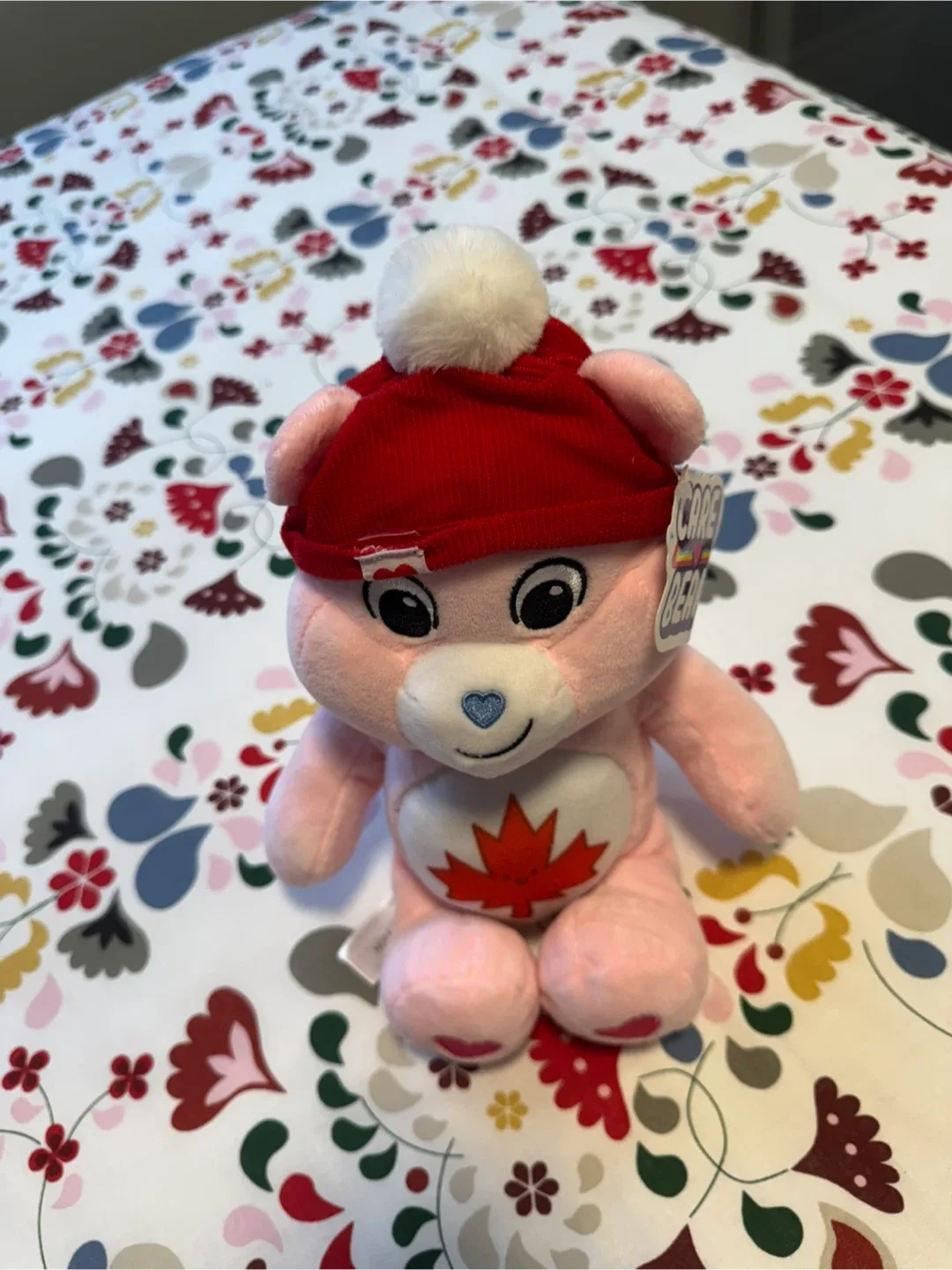 Care Bear Canada Plush Toy