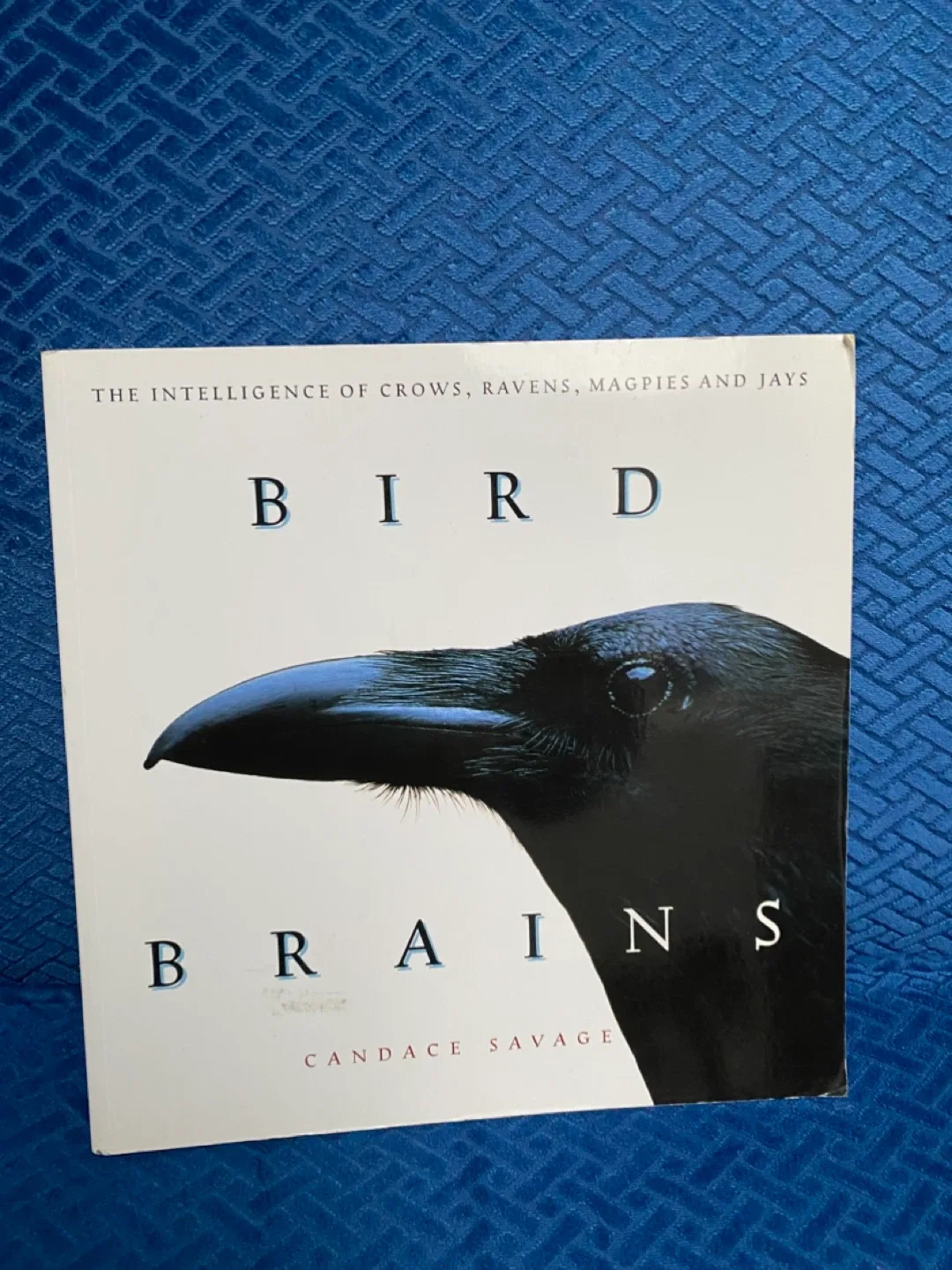 Bird Brains by Candace Savage