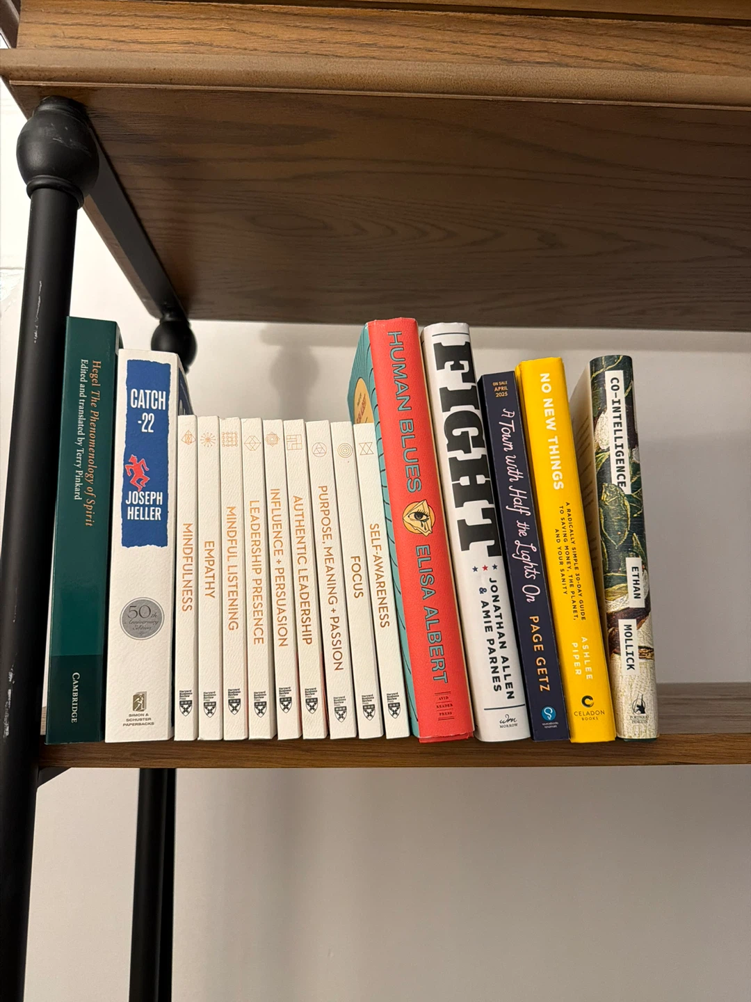 Free Set of Books: Catch-22, Human Blues, Co-Intelligence