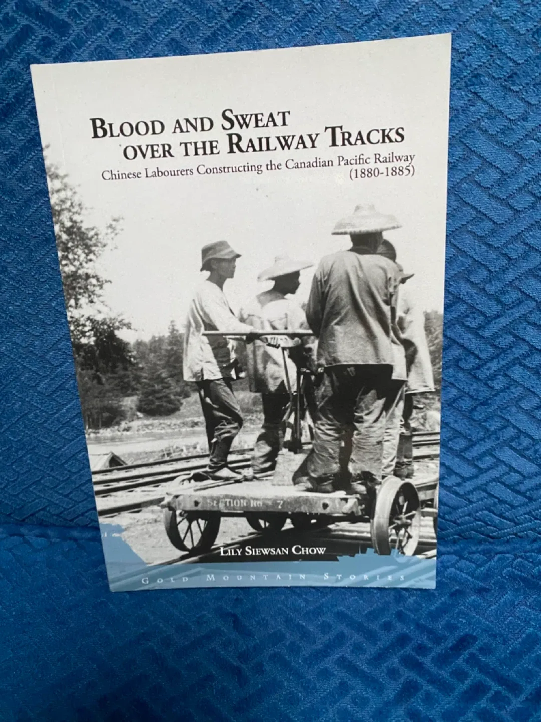 Blood and Sweat Over the Railway Tracks by Lily Chow
