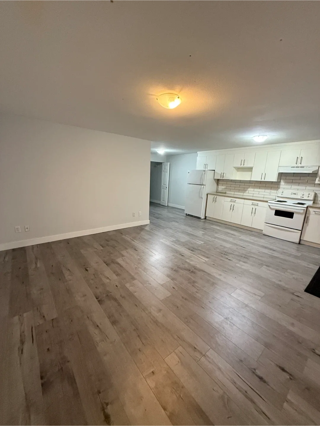 Basement suite for rent