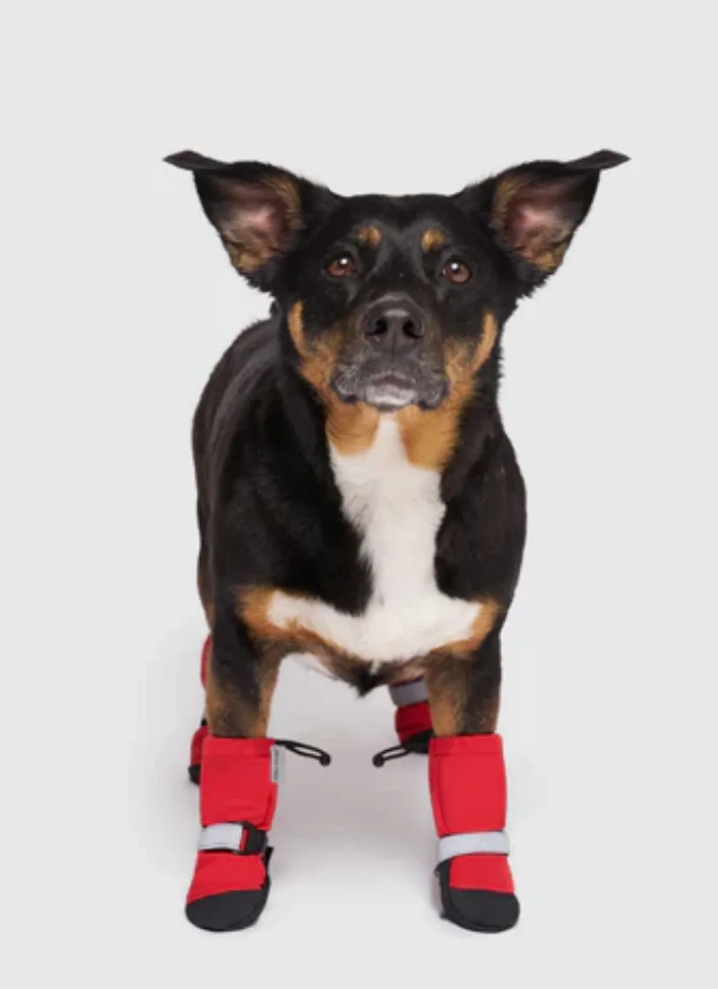 Canada Pooch Soft Shield Boots - Size 3 Red