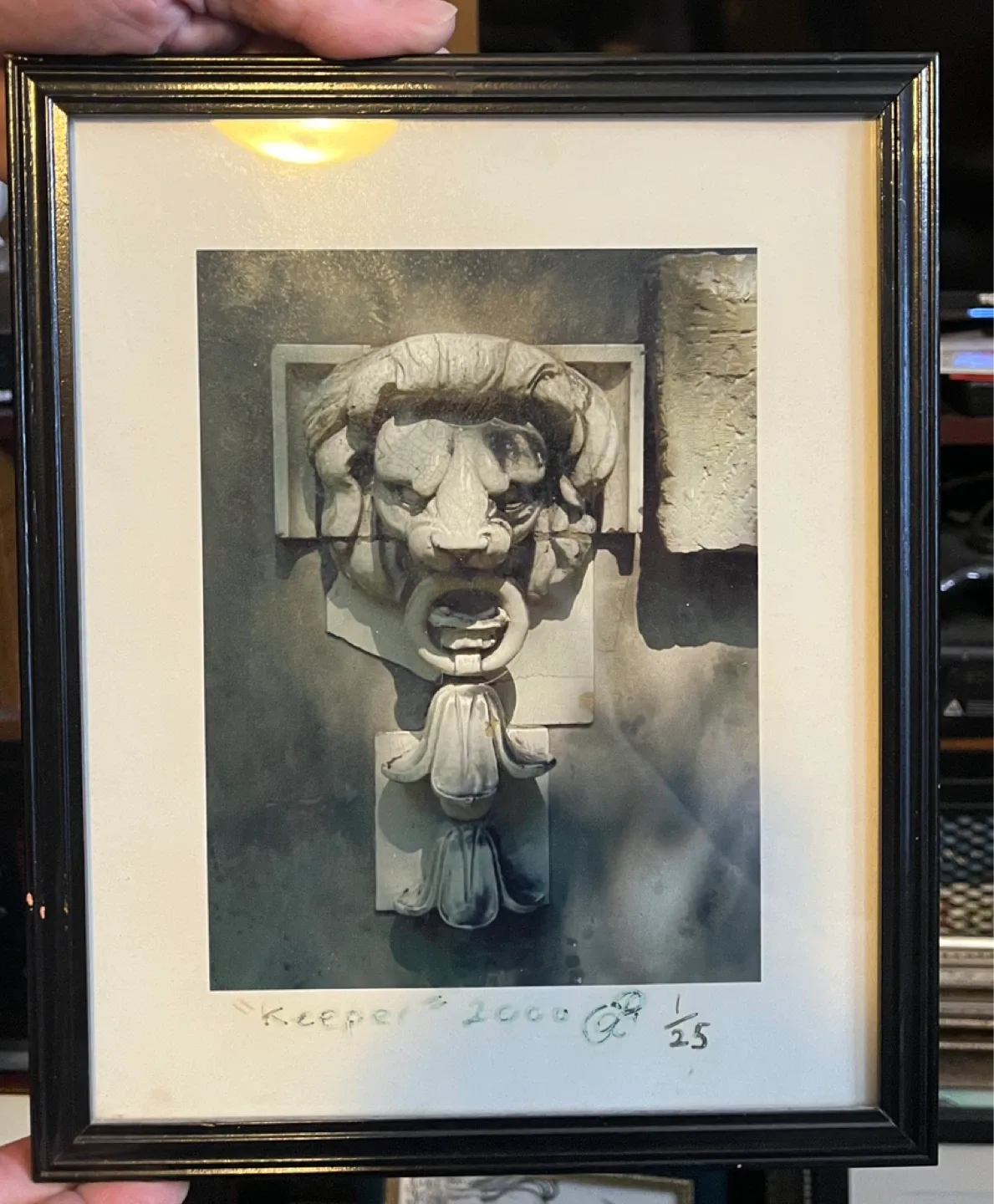Framed Lion Sculpture Photo