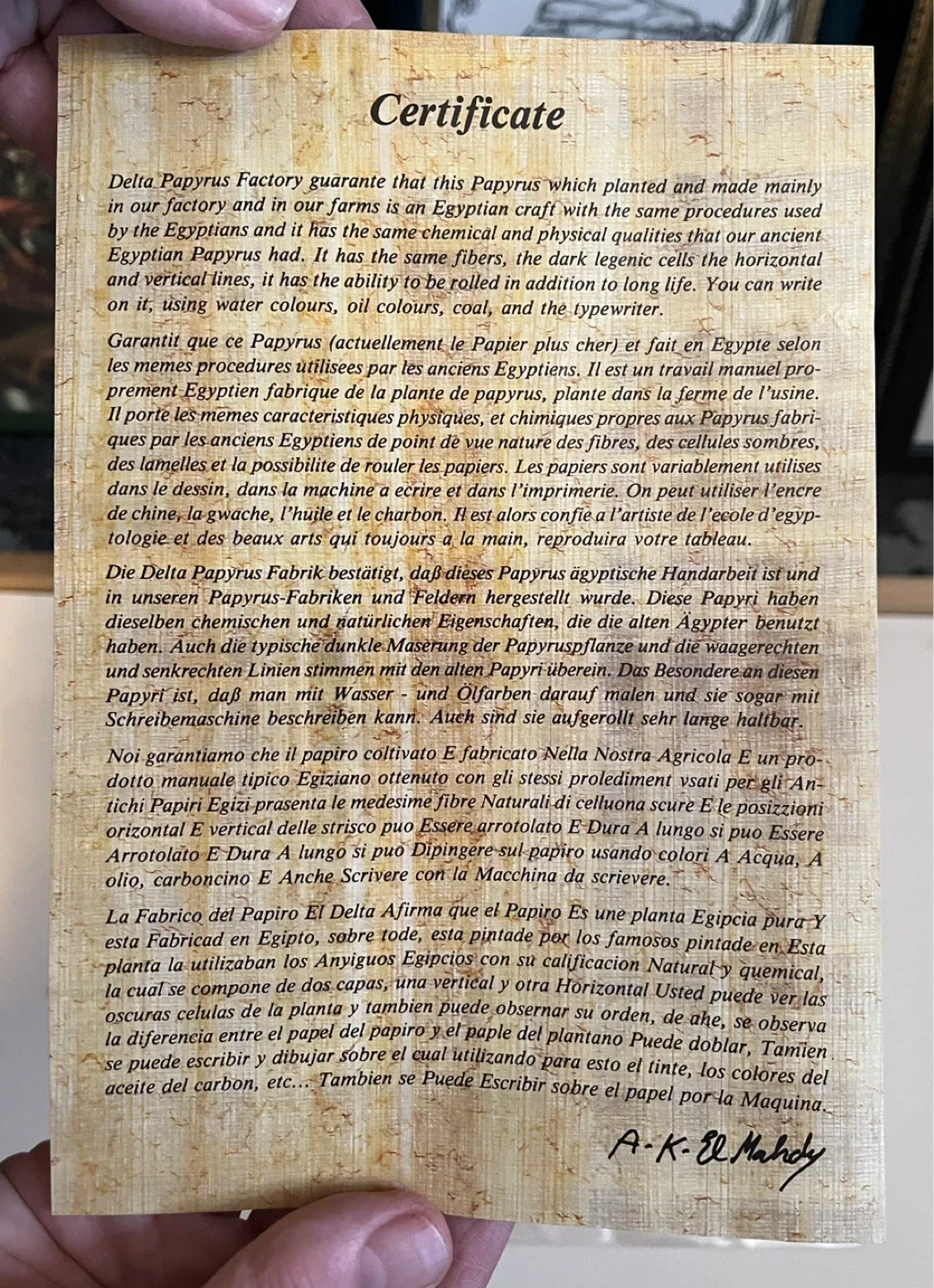 Framed Egyptian Papyrus Art image indicator(3)