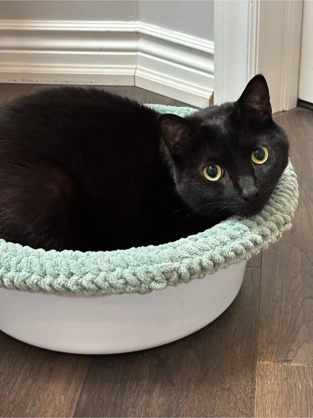 Crocheted Cat Bed