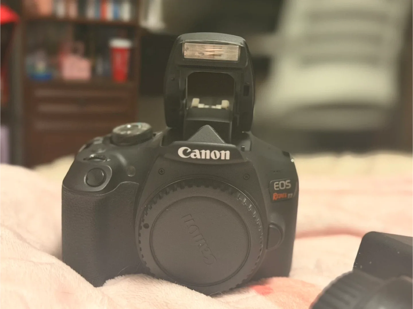 Canon EOS Rebel T7 DSLR Camera with EF-S 18-55mm Lens