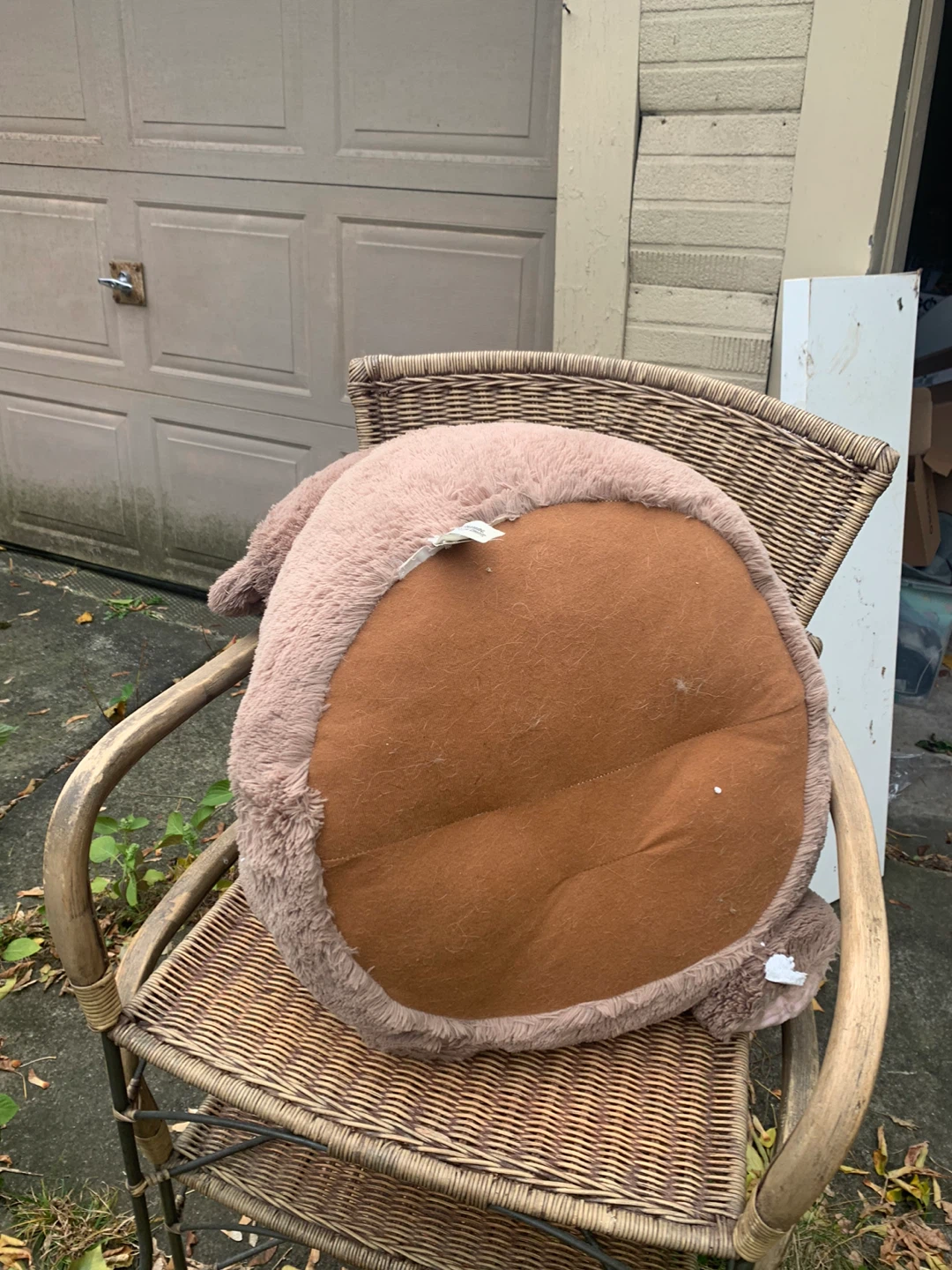 dog bed - photo 3