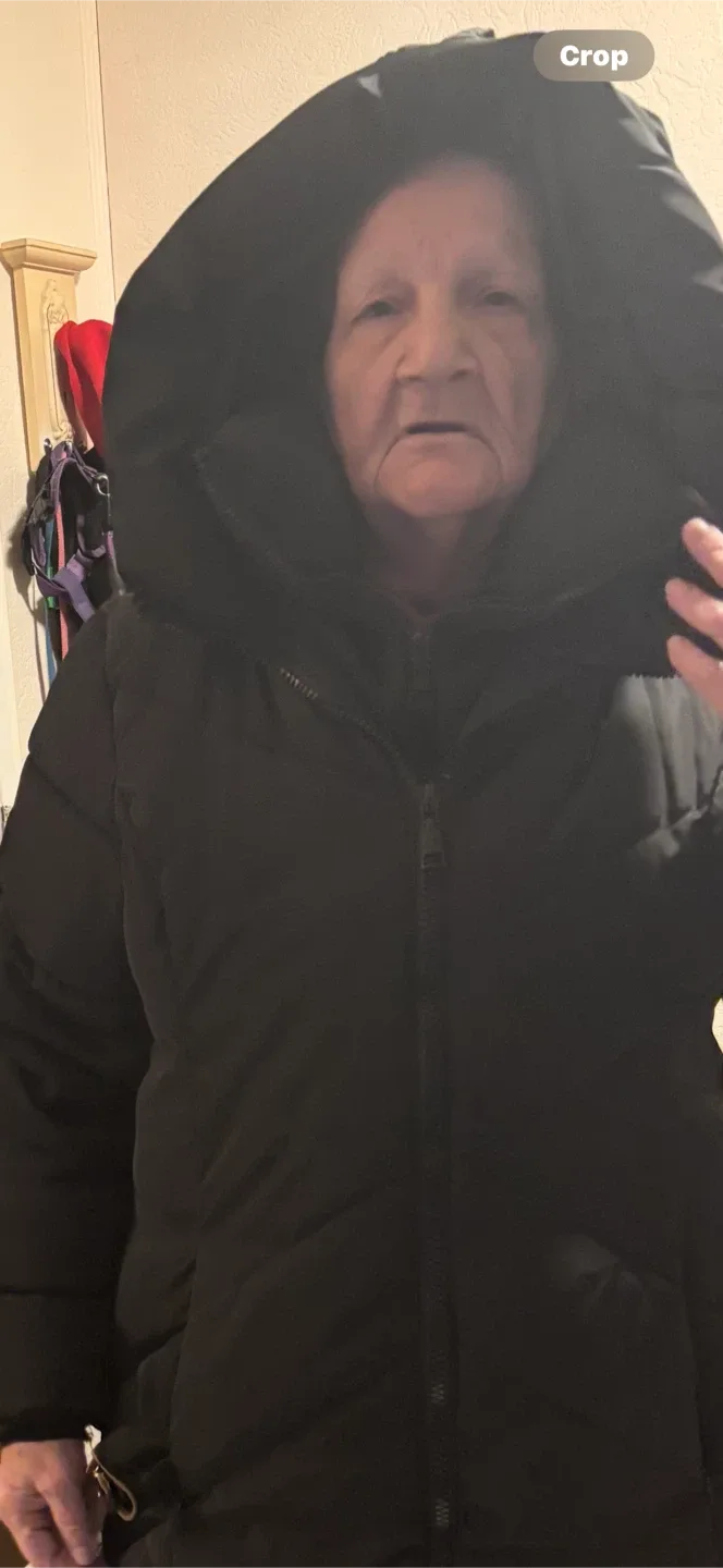 Women’s Black Winter Coat image indicator(2)