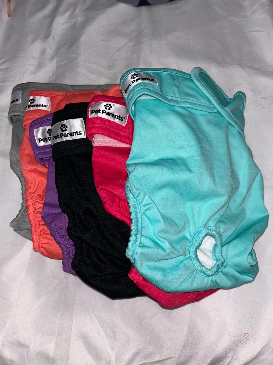 Pet Parents Dog Diapers - Assorted Colours