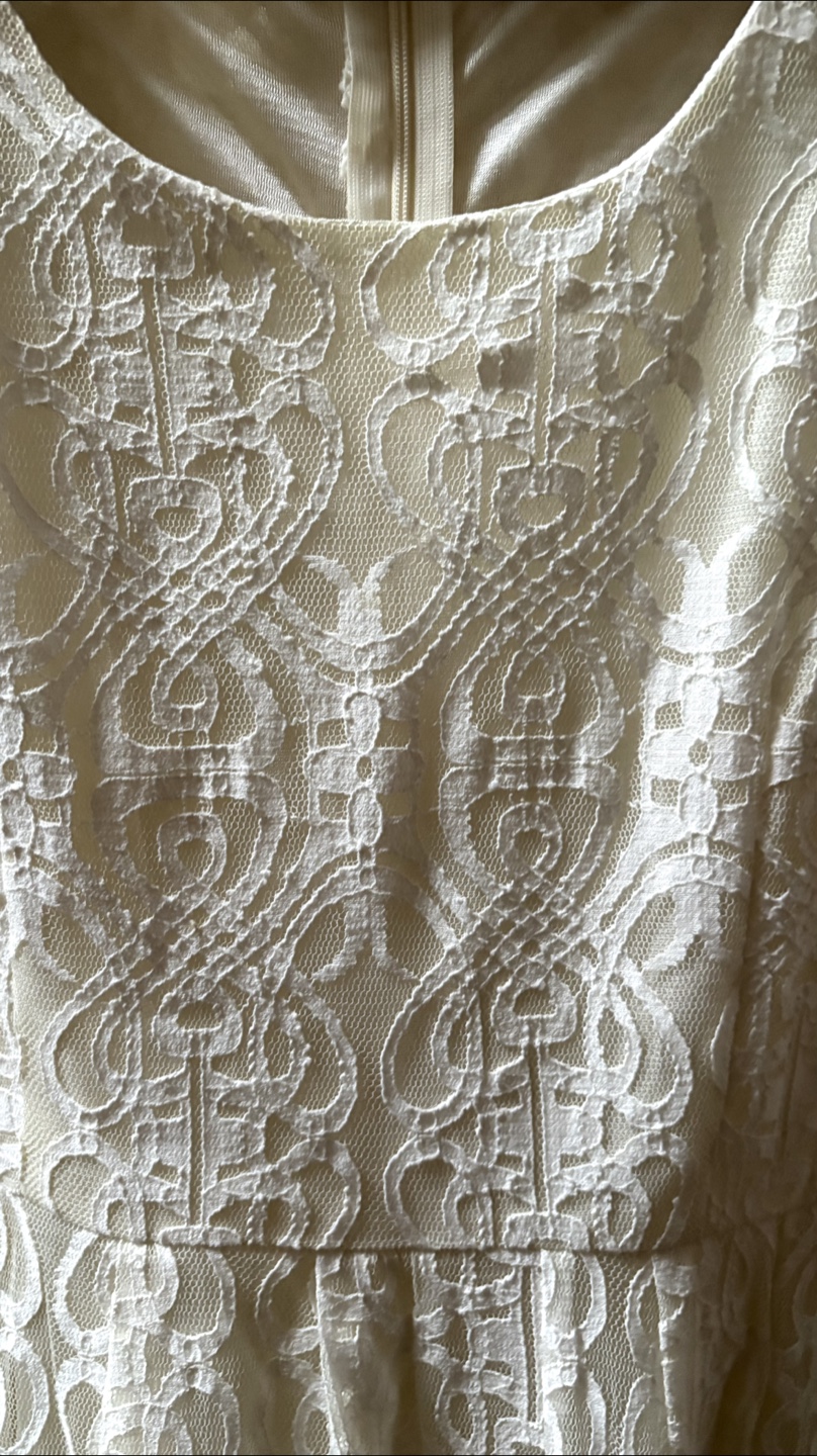 Precis Petite Ivory & Blue Dress - XS - photo 2